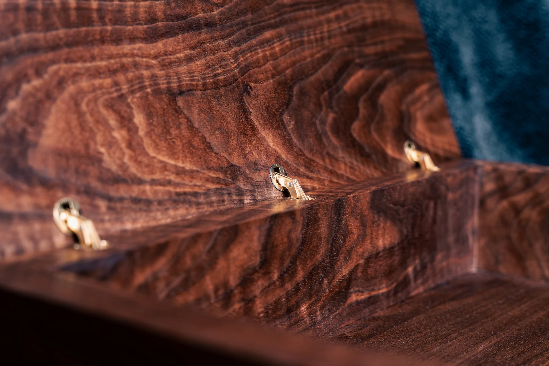 Interior detail with brass-toned hinge hardware